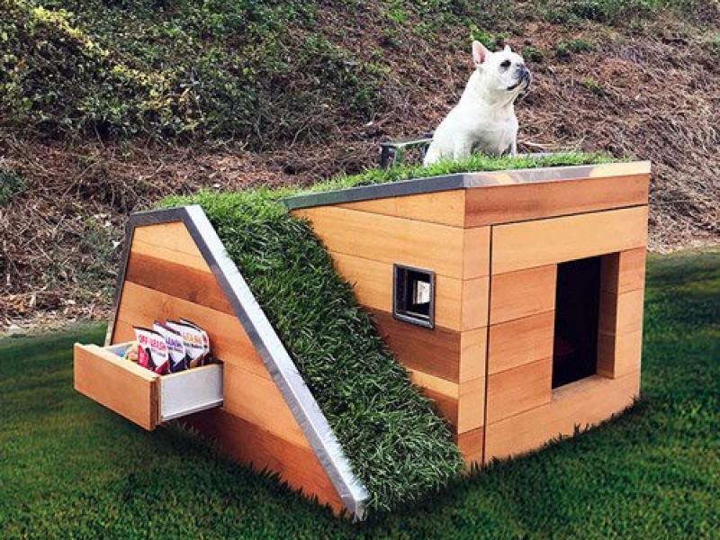 studio-schicketanz-doggy-dreamhouse-designboom-500.jpg