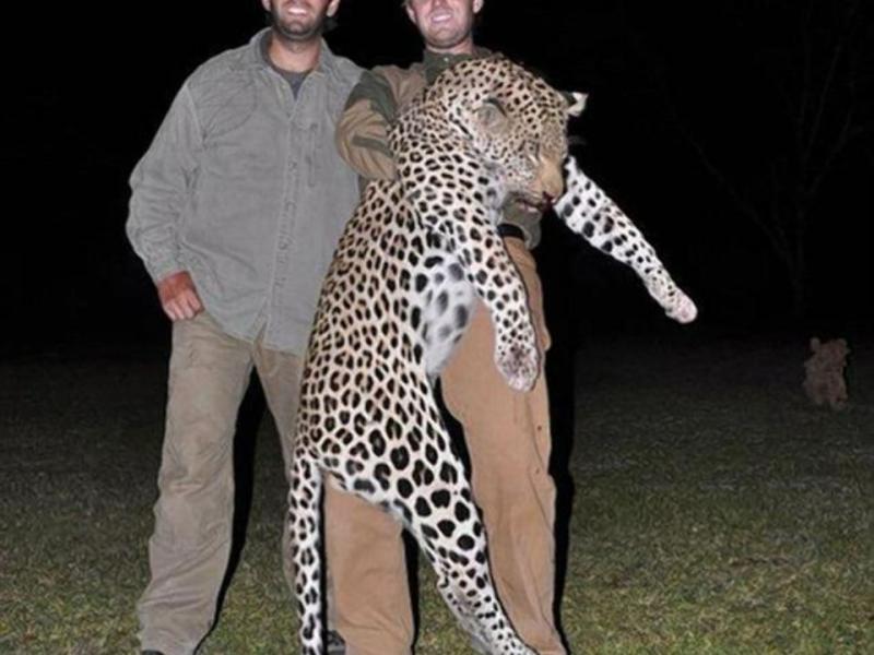 trump-leopard.jpg