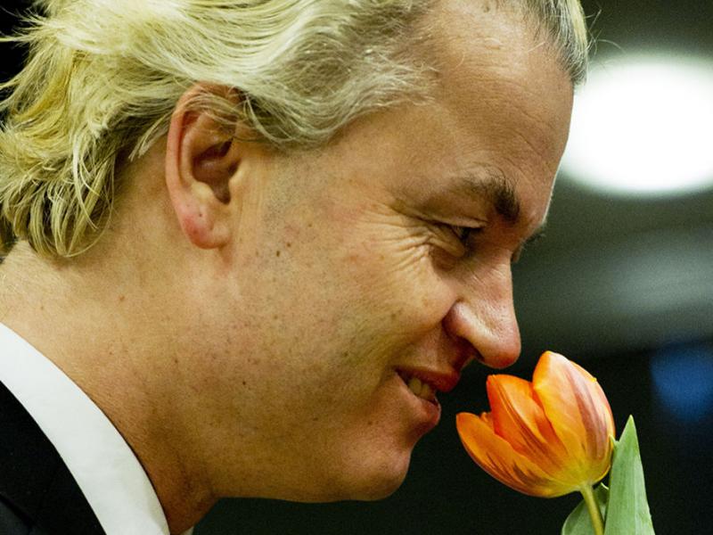 wilders.jpg