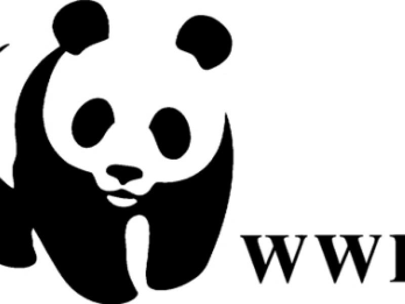 wwf-hellas-eco2nomy_0.jpg