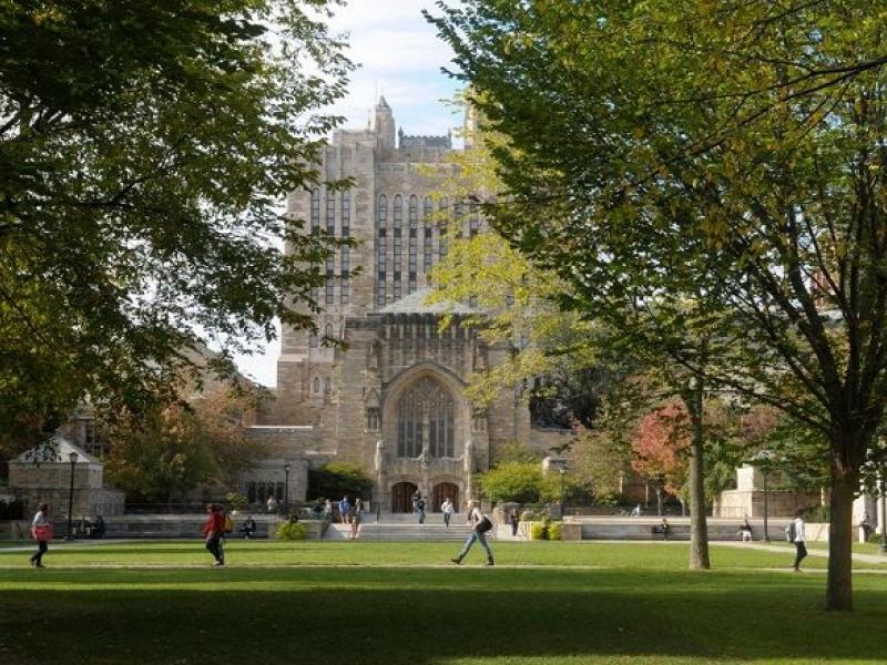 yale.jpg